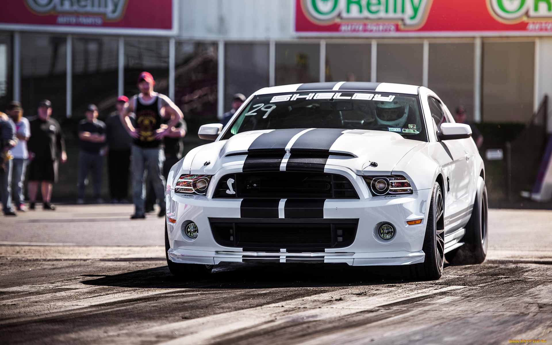 ,    , shelby, mustang, 